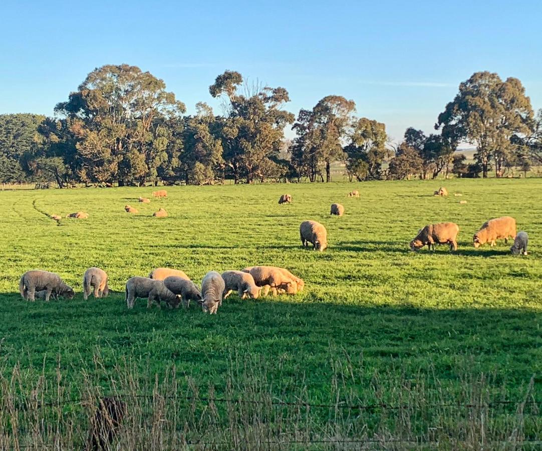 The Lancefield Lodge Lance Field المظهر الخارجي الصورة